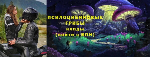 синтетический гашиш Алексеевка