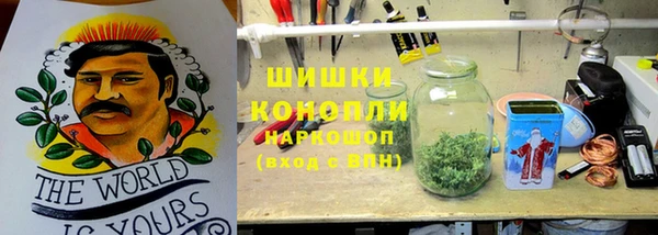 трава Алексин