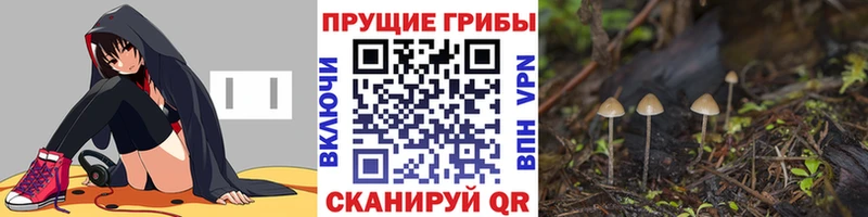 МЕГА tor  Лесосибирск  Псилоцибиновые грибы MAGIC MUSHROOMS 