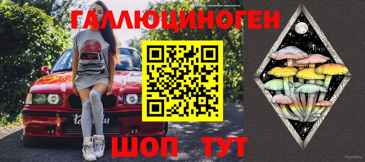 Лесосибирск  Галлюциногенные грибы прущие грибы  Галлюциногенные грибы прущие грибы  Вход с VPN 